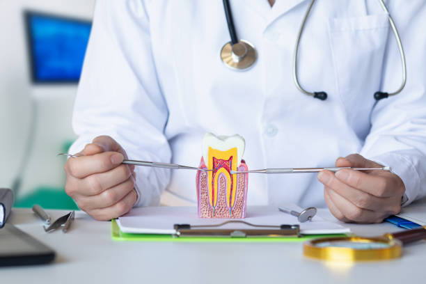 Best Emergency Dentist for Knocked-Out Tooth in Santa Rita Ranch, TX